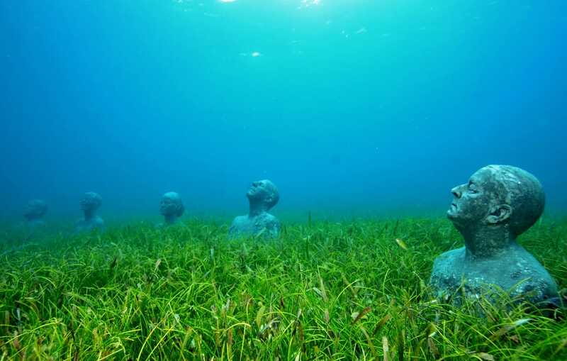 Cancún: Underwater Museum & Reef for Certified Scuba Divers - Second tank: natural coral, turtles, and fish