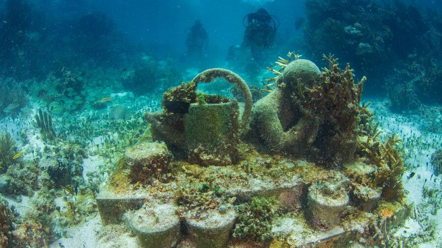 Cancún: Underwater Museum & Reef for Certified Scuba Divers - What to bring and what to arrange