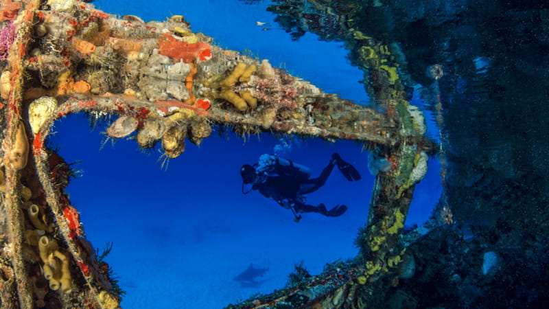 Cancún: Wreck and Reef for Certified Scuba Divers - A warship and a coral reef in one morning