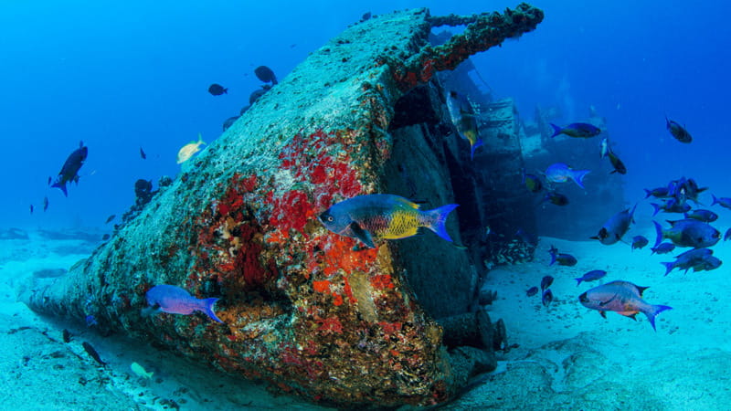 Cancún: Wreck and Reef for Certified Scuba Divers - The General Anaya at 85 feet