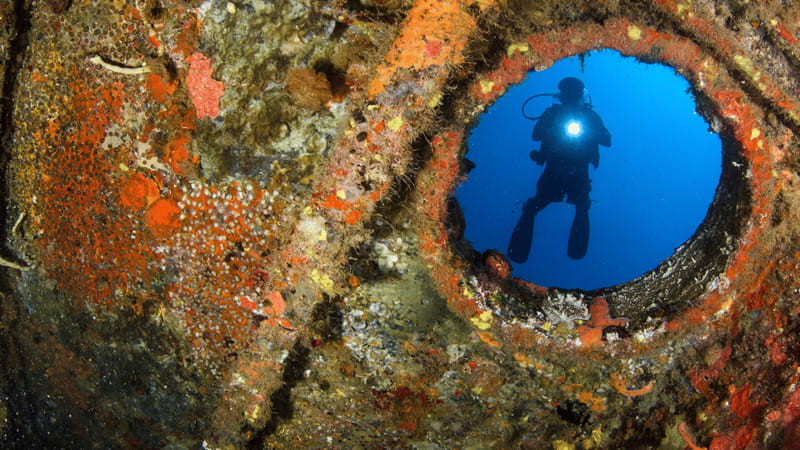 Cancún: Wreck and Reef for Certified Scuba Divers - A second underwater visit at 55 feet