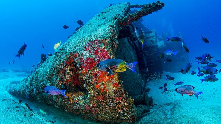 Cancún: Wreck and Reef for Certified Scuba Divers - Why the instructor matters