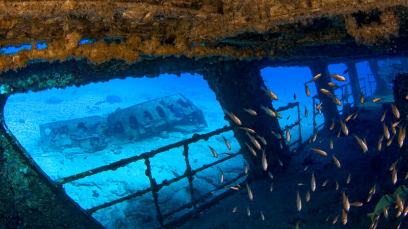 Cancún: Wreck and Reef for Certified Scuba Divers - Who should book this scuba outing