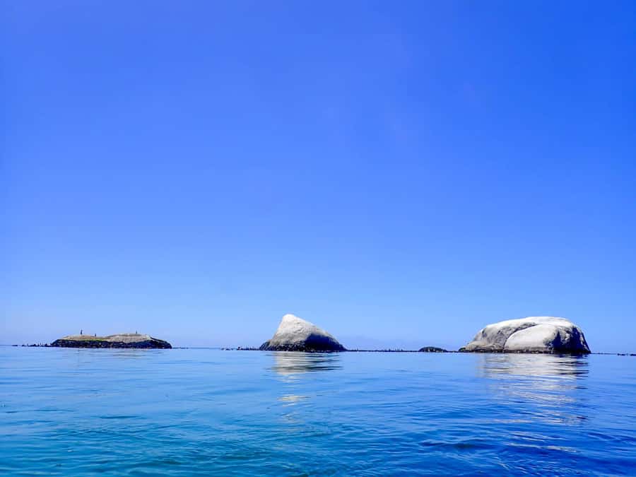 Cape Town: Discover Scuba Diving - 1 day experience - A first scuba session in Simon’s Town