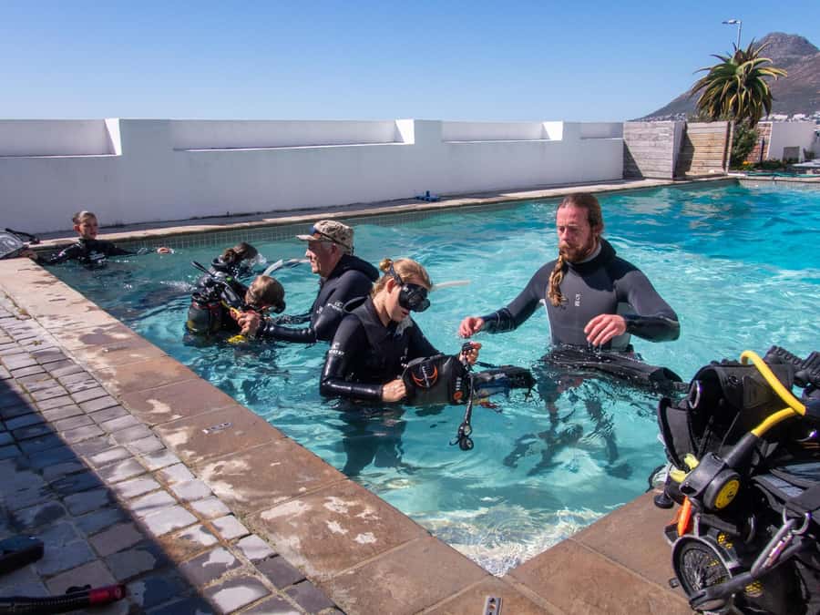 Cape Town: Discover Scuba Diving - 1 day experience - What the underwater portion feels like