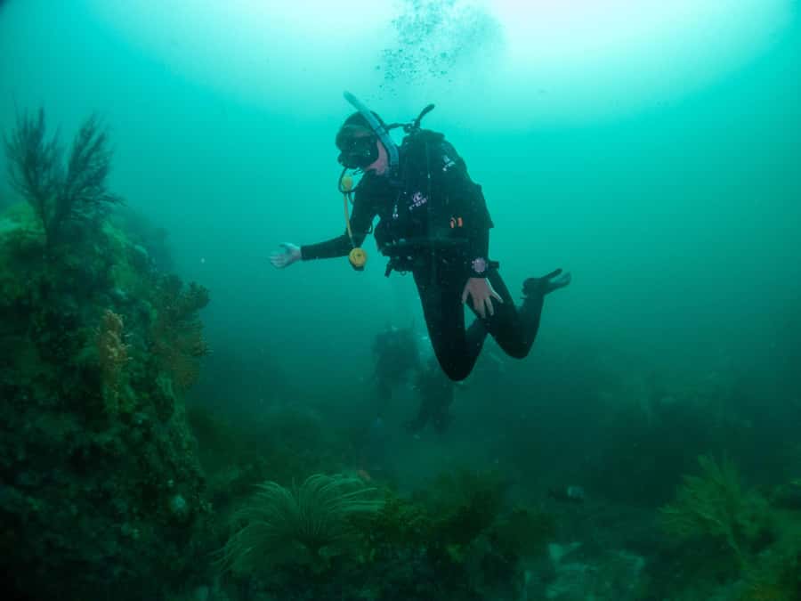 Cape Town: Discover Scuba Diving - 1 day experience - The equipment and comfort details
