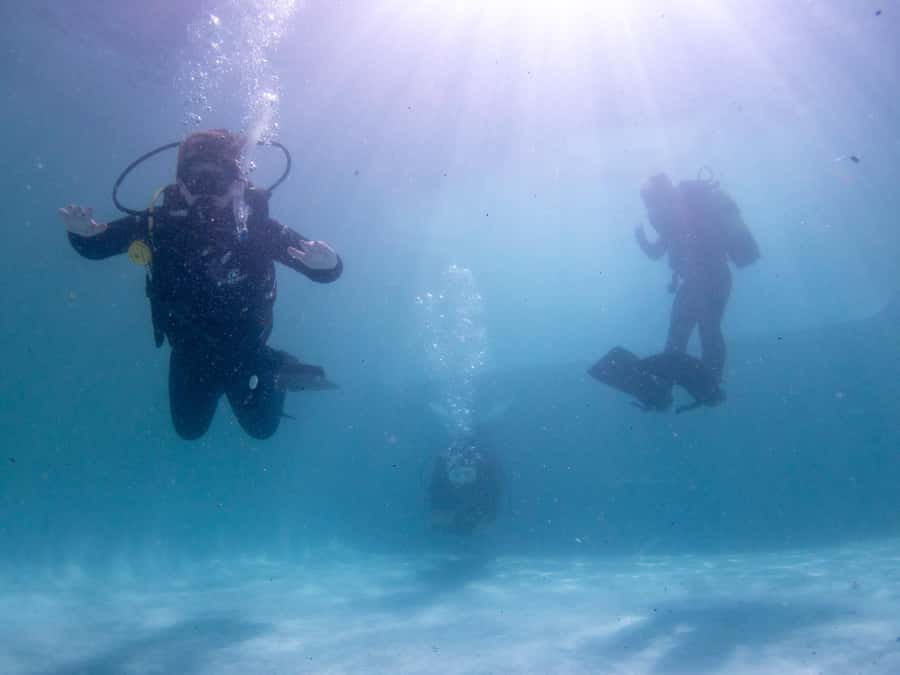 Cape Town: Discover Scuba Diving - 1 day experience - Timing, weather, and the practical tradeoffs