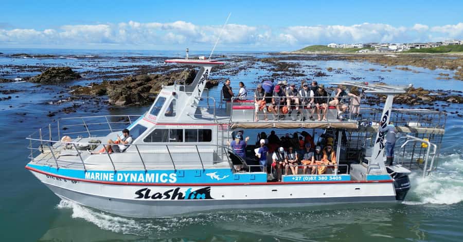 Cape Town: Gansbaai Eco-Friendly Shark Cage Diving Cruise - Aboard Slashfin, heading for Joubertsdam