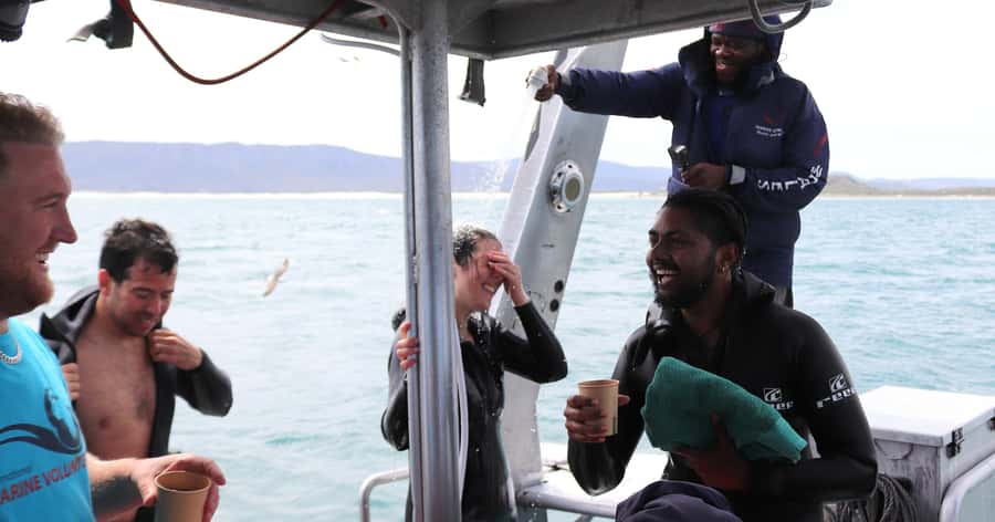 Cape Town: Gansbaai Eco-Friendly Shark Cage Diving Cruise - What the cage session is really like