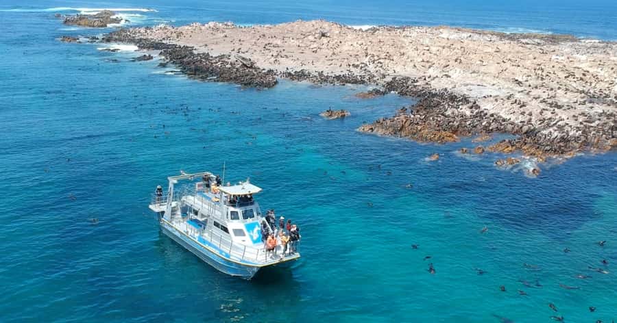 Cape Town: Gansbaai Eco-Friendly Shark Cage Diving Cruise - The conservation work gives the day more meaning