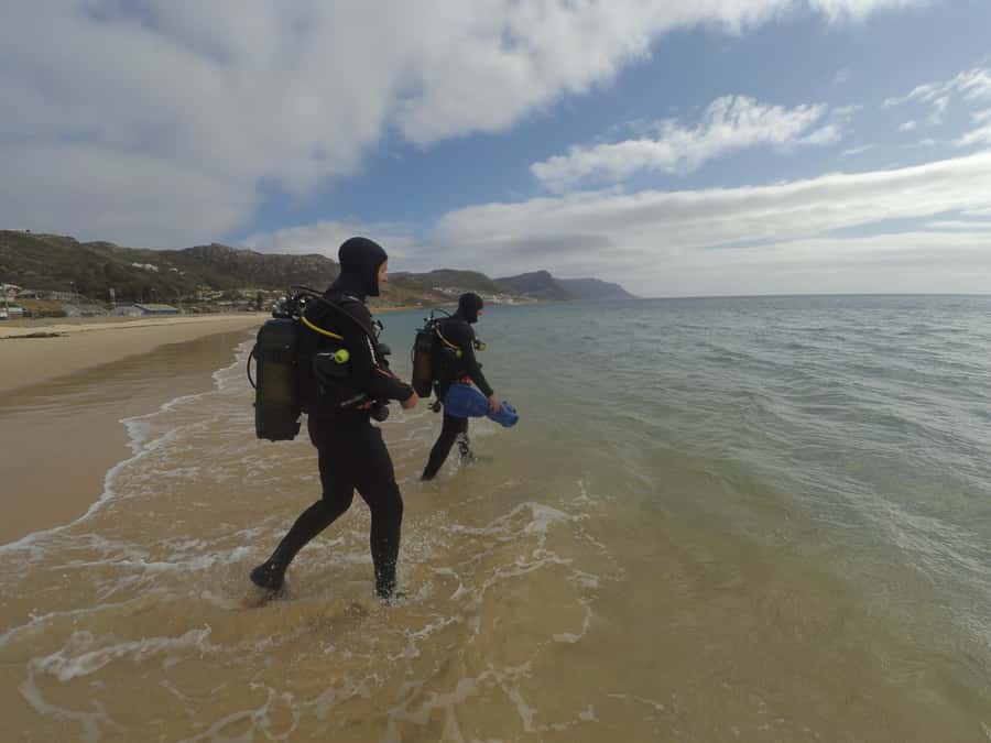 Cape Town: Scuba Diving Experience for Beginners - Key points to know before booking