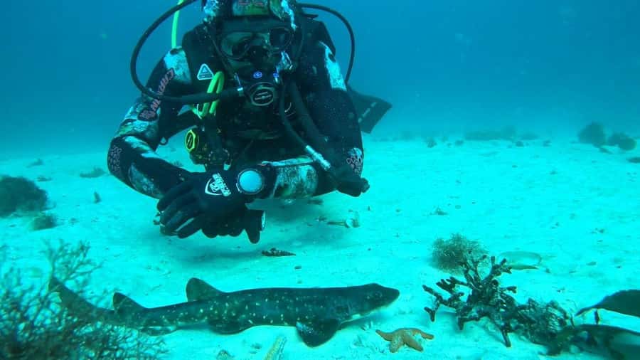 Cape Town: Scuba Diving Experience for Beginners - About 1.5 hours beneath the surface