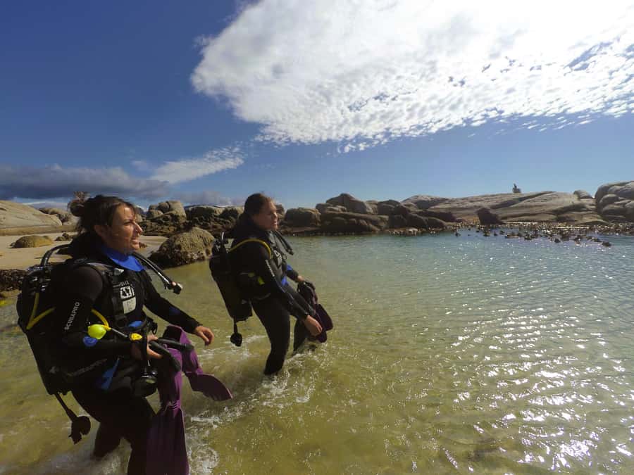 Cape Town: Scuba Diving Experience for Beginners - What to bring and how to prepare