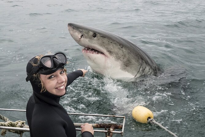 Cape Town: Shark Cage Diving & Penguins Tour to Gansbaai with private transfers - Breakfast, briefing, and the move to the harbor
