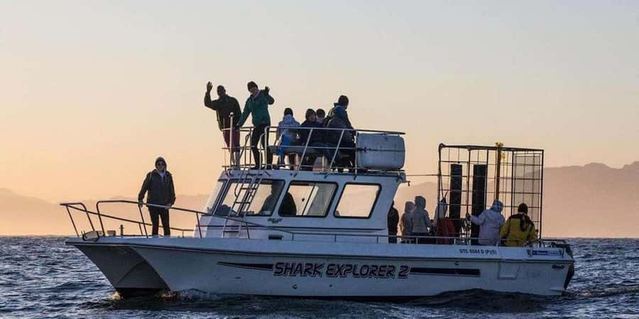 Cape Town: Shark Cage Diving Tour (with Breakfast & Lunch) - Crossing to Shark Alley by boat