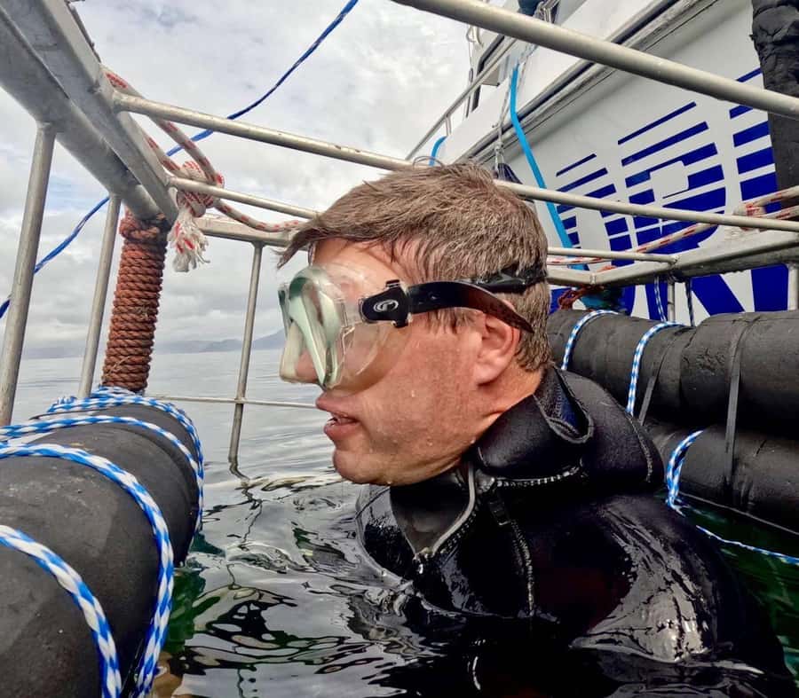 Cape Town: Shark Cage Diving with Snacks and Soft Drinks - Key points to know before you book