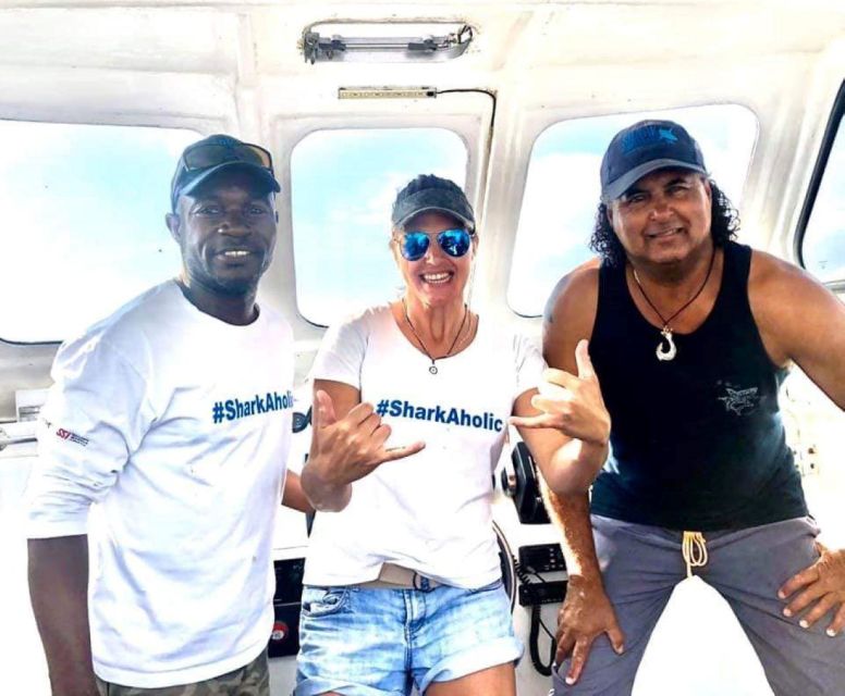 Cape Town: Shark Cage Diving with Snacks and Soft Drinks - The cage encounter itself