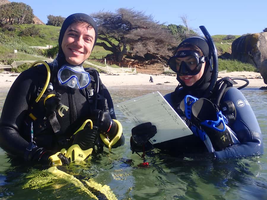 Cape Town: Shark Science SCUBA Diving Experience - What the Underwater Hour Feels Like