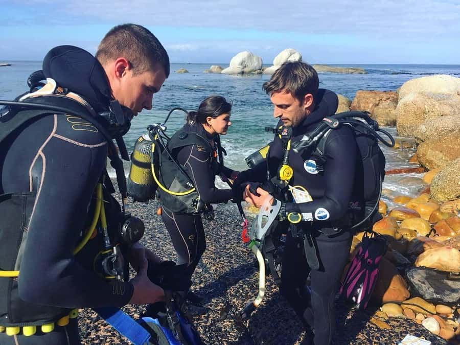 Cape Town: Shark Science SCUBA Diving Experience - What $178 Buys You