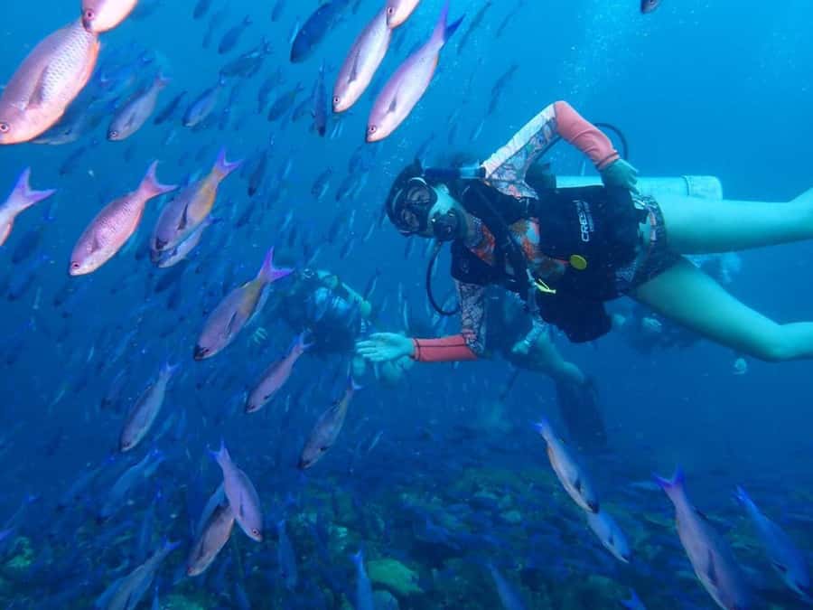 Cartagena: 2 Tanks Dive Plan For CERTIFIED DIVERS - Key points to know before booking