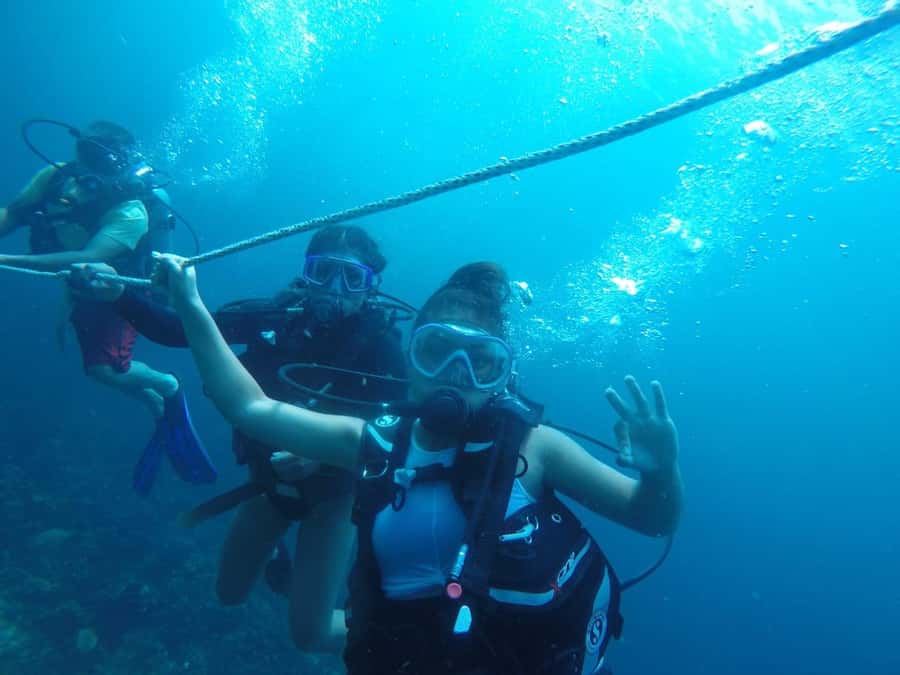 Cartagena: Basic Diving for beginners in Rosario Islands - Key points to know before booking