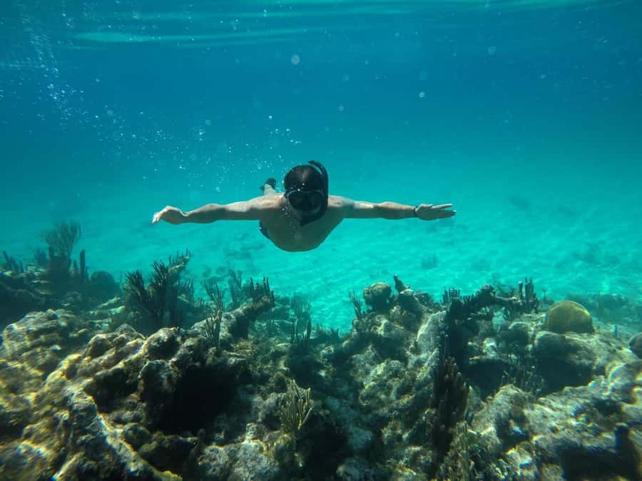 Cartagena: Basic Diving for beginners in Rosario Islands - A first underwater session from Cartagena