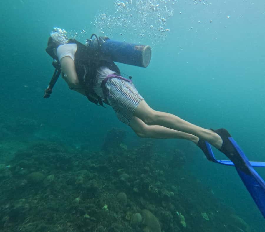 Cartagena: Basic Diving for beginners in Rosario Islands - Thirty minutes of instruction before entering the water