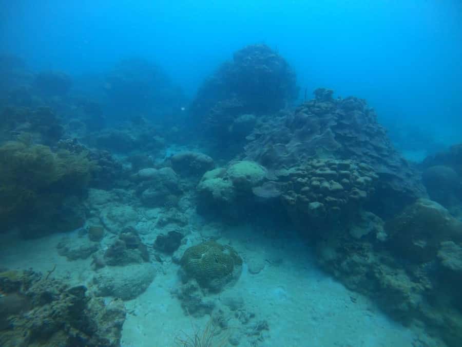 Cartagena: Basic Diving for beginners in Rosario Islands - Speedboat ride to the Rosario reefs