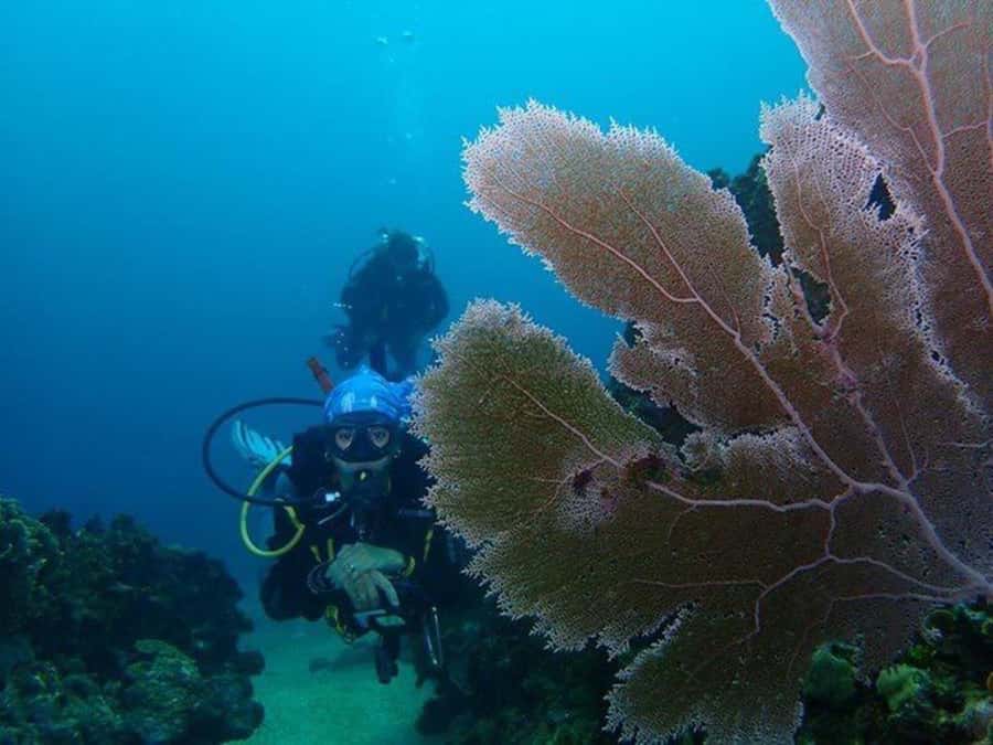 Cartagena: PADI DISCOVER SCUBA / MINICURSO DE BUCEO - Speedboat views on the way to Barú