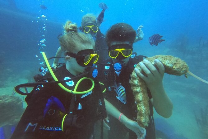 Catalina Island Diving - Jonathan and the personal guide experience