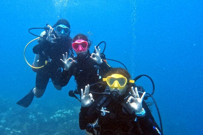 Catalina Island Diving - Lunch, drinks, and the practical value of the package