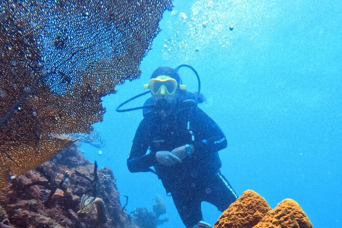 Catalina Island Diving - Timing, group size, and the pace of the day