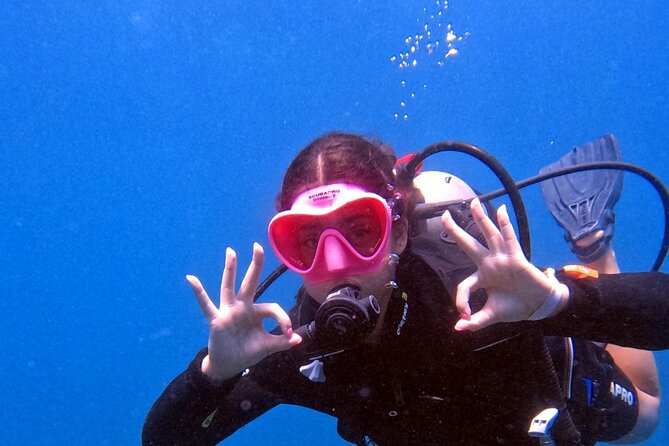 Catalina Island Diving - Who should book this Catalina trip