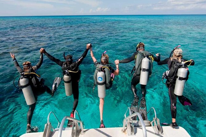 Catalina Island Diving Tour - From your hotel to the La Romana dock