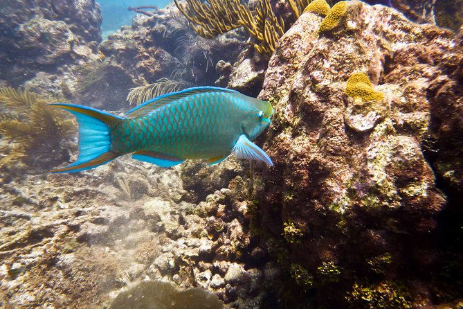 Catalina Island Scuba Diving - Amazing Full Day Tour! - Boarding the catamaran in La Romana