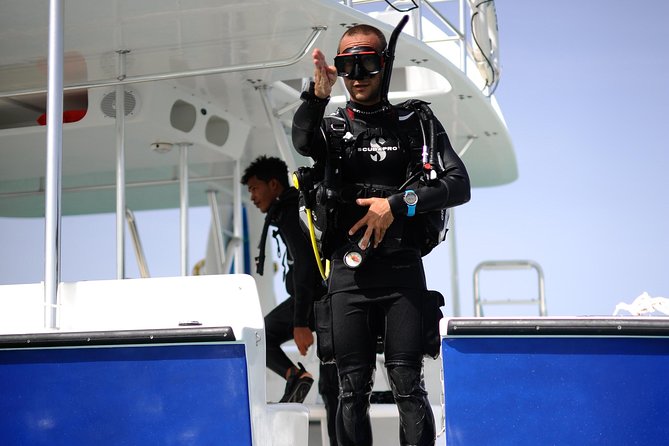 Catalina Island Scuba Diving - Amazing Full Day Tour! - Dominican lunch, drinks, and what the price covers