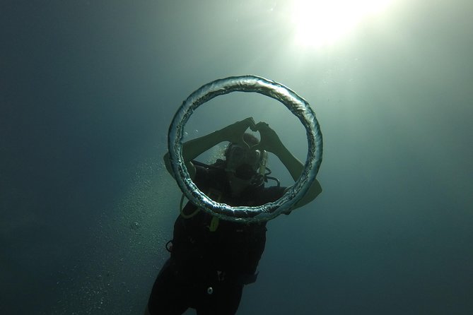 Catalina Island Scuba Diving - Amazing Full Day Tour! - Who will enjoy this Catalina trip most