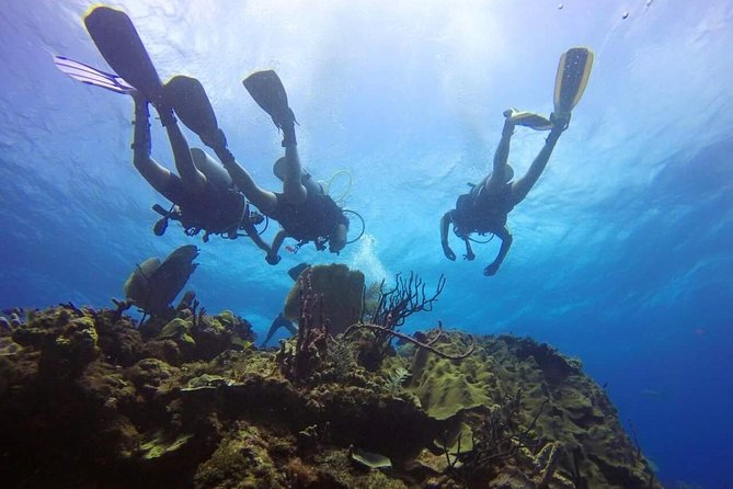 Catalina Island Scuba Diving and Snorkeling Tour from Punta Cana - Boarding the catamaran at La Romana