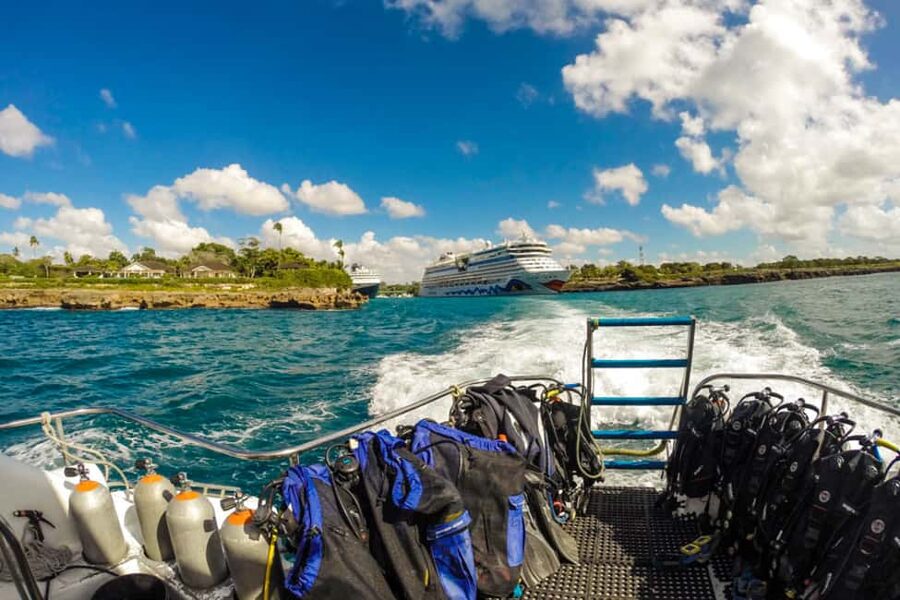 Catalina Island Scuba Diving Tour from Punta Cana - Practical tips for a better day