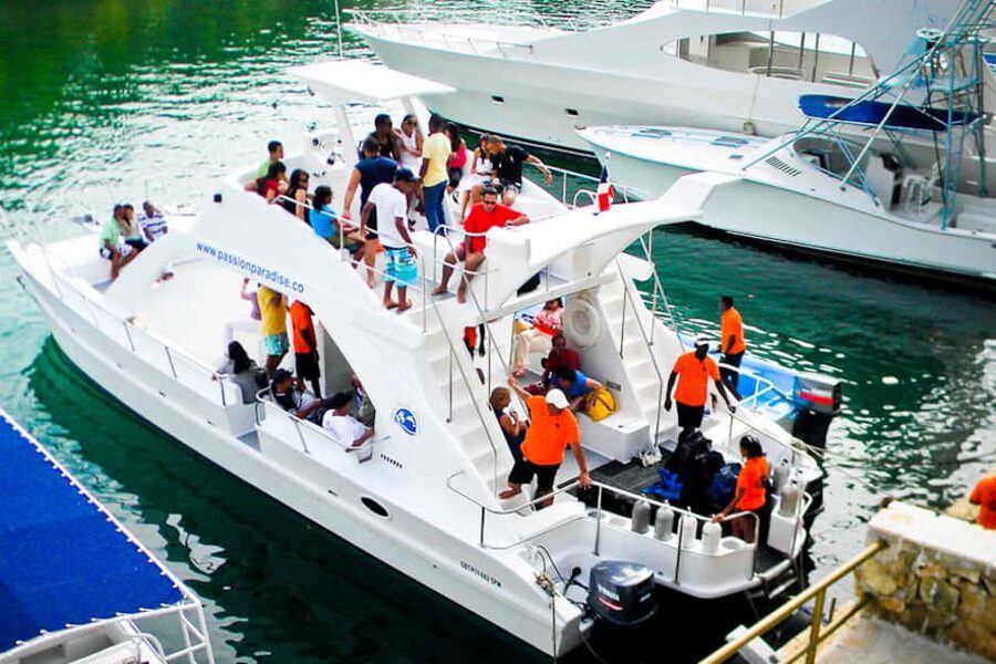 Catalina Island Scuba Diving Tour from Punta Cana - The Wall: a serious first stop