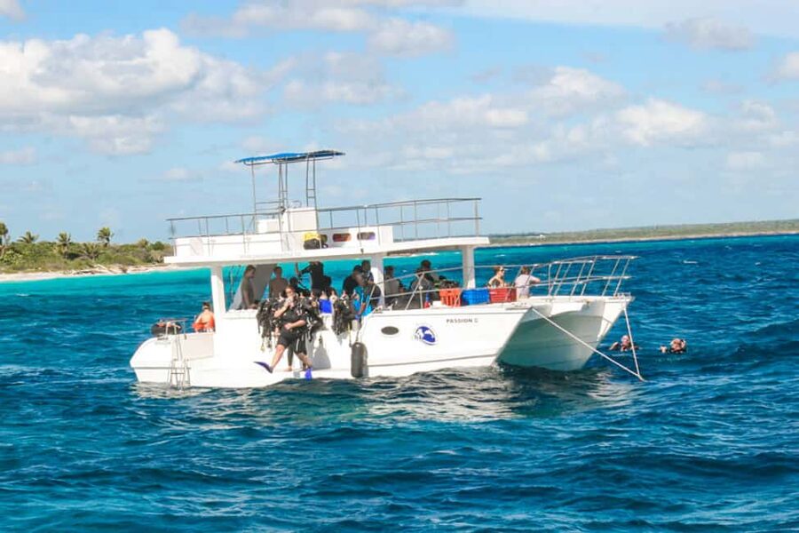 Catalina Island Scuba Diving Tour from Punta Cana - The Aquarium: more marine life and a second chance
