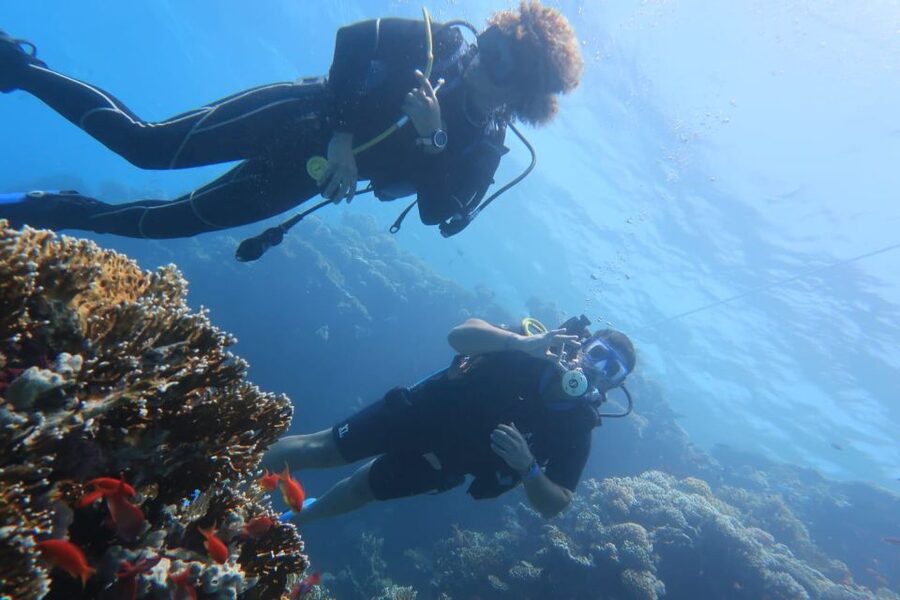 Catania : Diving for patented divers - Should you book the Cyclops Islands scuba outing?