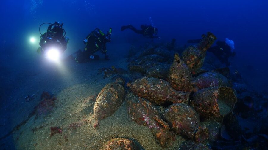 Catania : Diving for patented divers - Fish, shells, plants, and the chance of a stingray