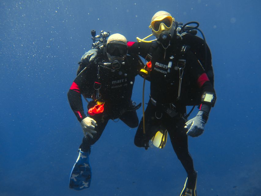 Catania: Gulf Scuba Diving Tour with Marine Biologist - Why Catania’s lava coast makes a good underwater outing