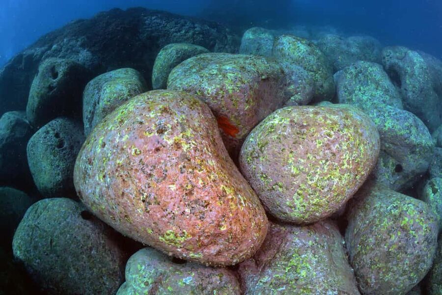 Catania: Scuba Diving Experience - Is $94 a Fair Price?