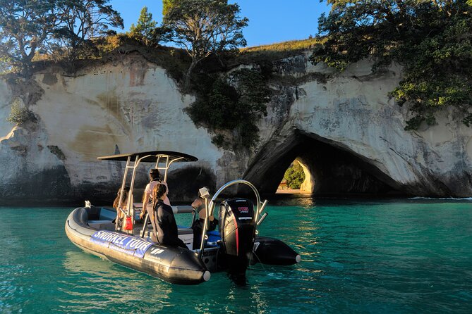 Cathedral Cove Dive & Snorkel- Marine Reserve specialised trips - Why this trip is different from a shore swim
