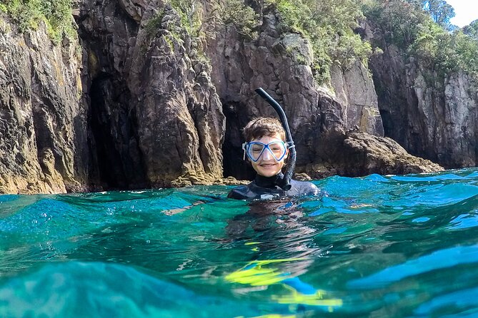 Cathedral Cove Dive & Snorkel- Marine Reserve specialised trips - What the small group means for you