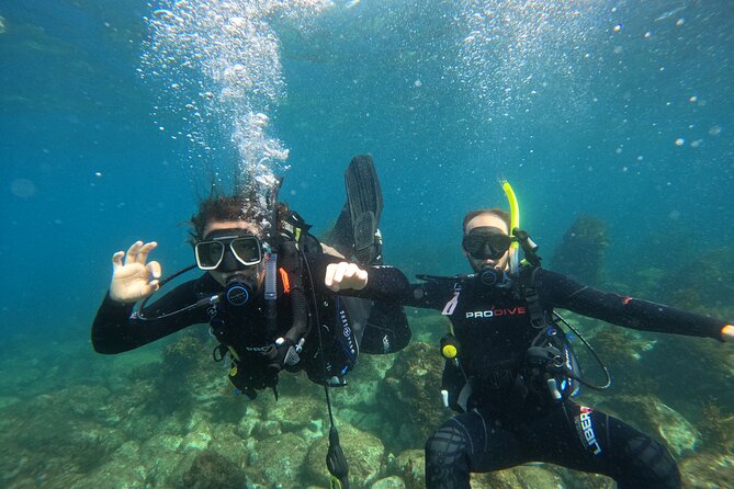 Cathedral Cove Dive & Snorkel- Marine Reserve specialised trips - Value at $98.67 per person