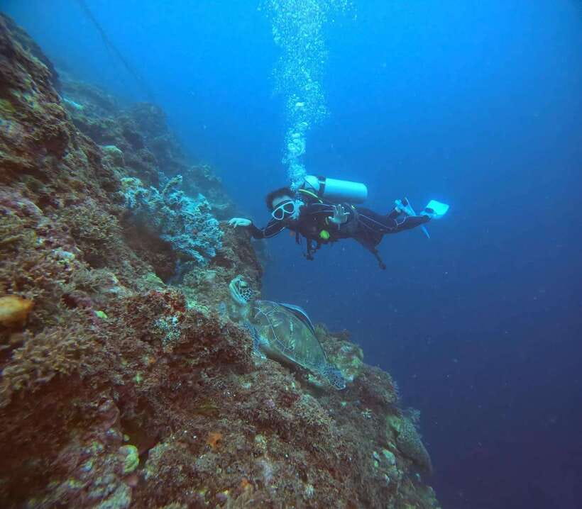 Cebu: Beach Scuba Diving Experience - One session or two?