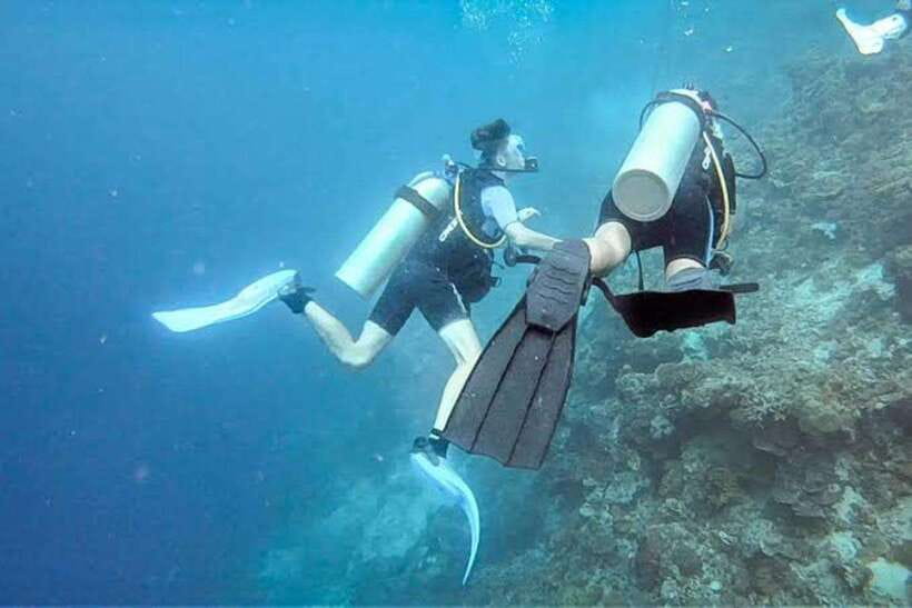 Cebu: Moalboal Scuba Diving, Sardines Run & Pescador Snorkel - Pescador Island by snorkel